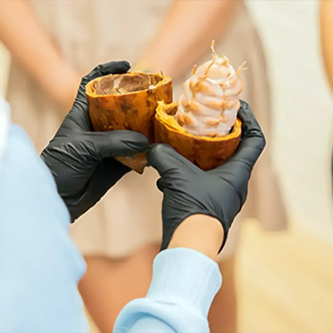 Best Chocolate Making Class Dubai Experience | Learn Artisan Chocolate Workshop UAE