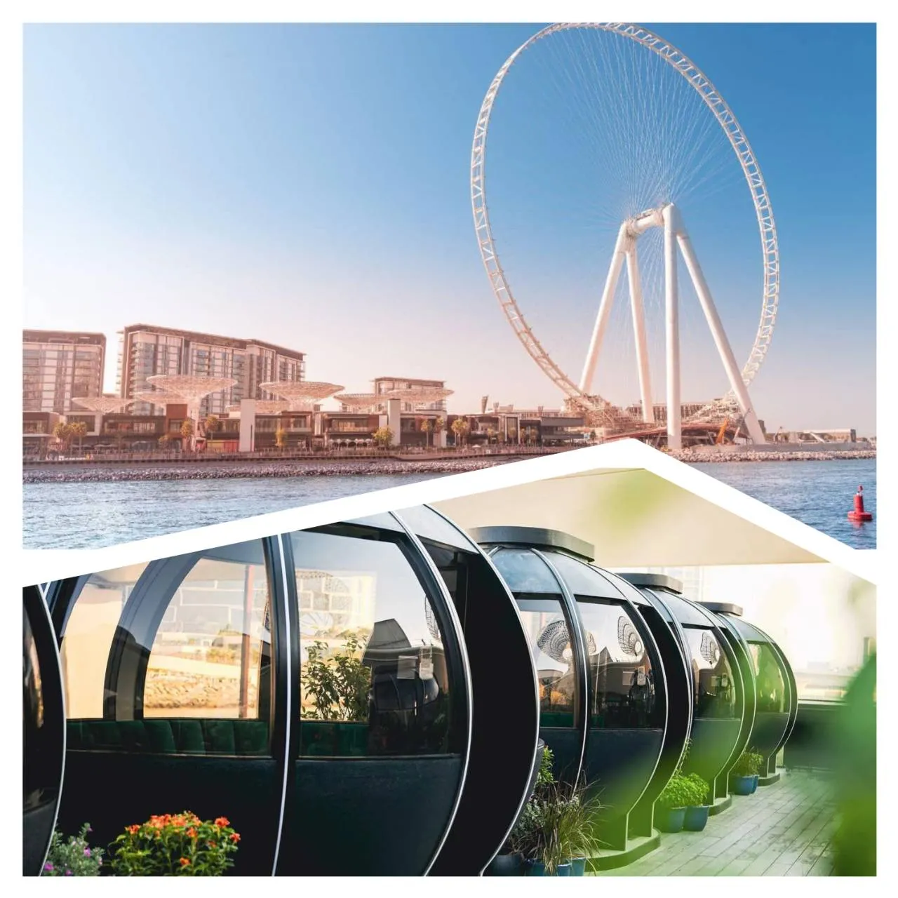 Ain Dubai Discovery with The Pods Dining Experience | Bluewaters Dubai