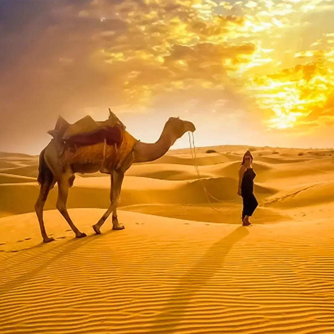 Morning Safari at Bedouin RAK with transfer