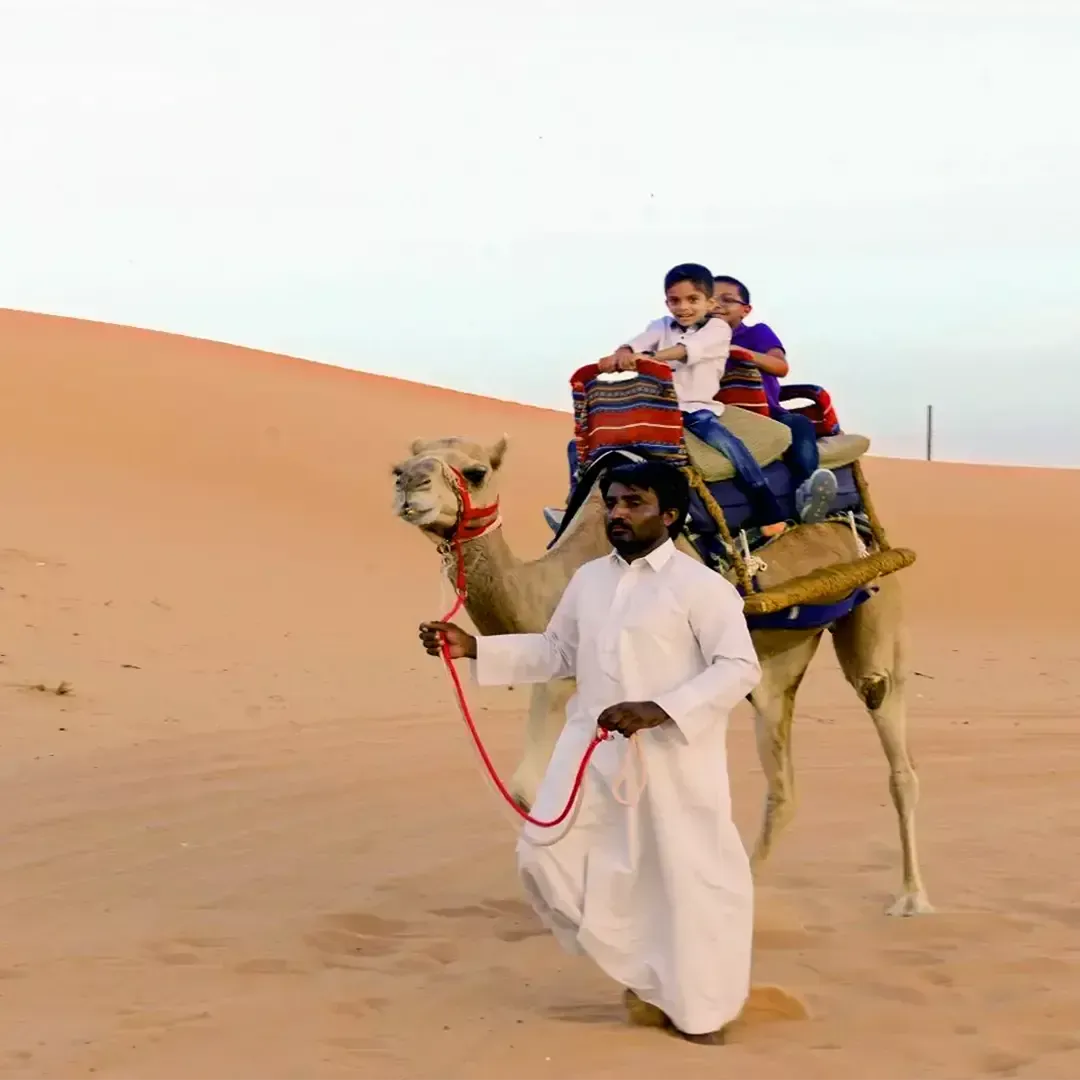 Camel Trekking in RAK with Transfer