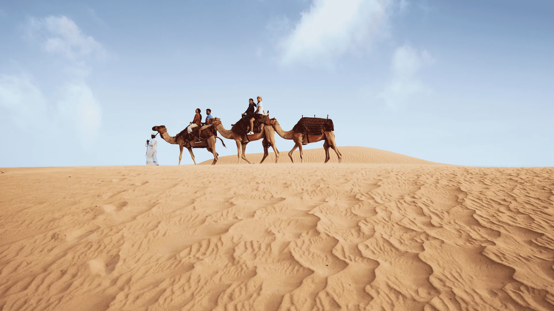 Camel Safari with Overnight Stay The Heritage Experience